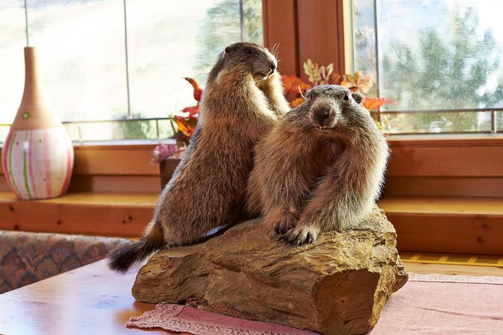 Fremdenpension Alpenruhe ゼルデン 部屋 写真